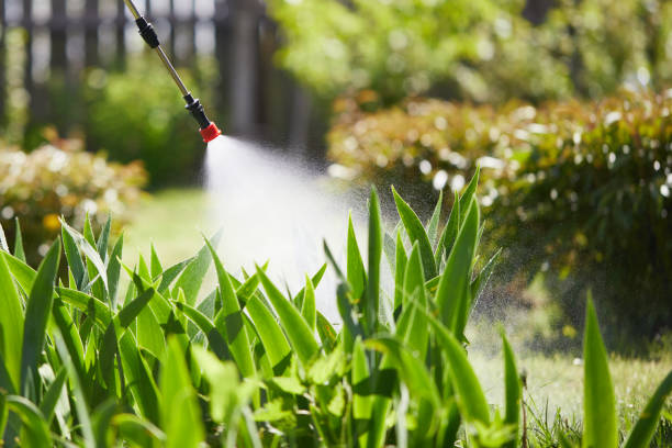24/7 Emergency Wasp Removal experts in Millington, MI
