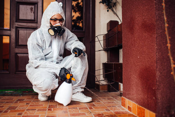 Reliable Wasp Removal contractor in Millington, MI by Show Me Pest Control